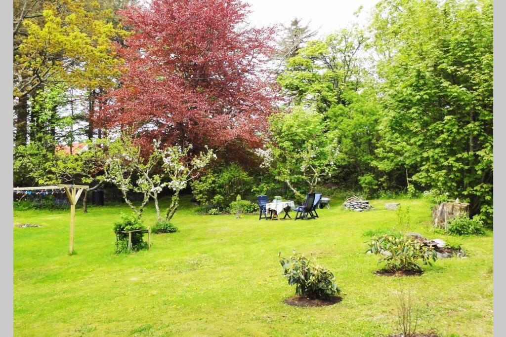Charming Flat In Cosy Farmhouse Skudeneshavn エクステリア 写真
