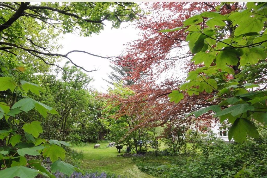 Charming Flat In Cosy Farmhouse Skudeneshavn エクステリア 写真
